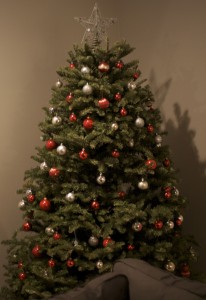 Our Christmas Tree when it was fresh and perfect.