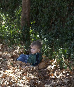 Playing in the leaves.