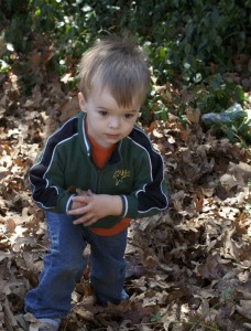 Climbing the big hill after some good fun in the leaves.