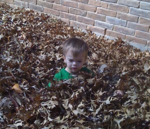 We didn't rake all fall and we ended up with the leaf pile to prove it. I raked up 11 or 12 bags this week in just the front yard. Brenden enjoyed playing while I worked.